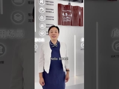 Panneaux photovoltaïques flexibles